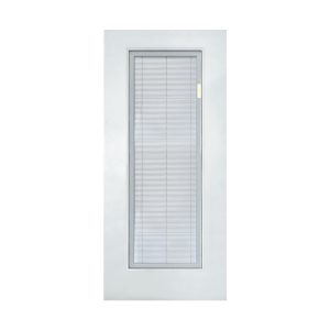 FULL LITE GLASS DOOR WITH BLINDS